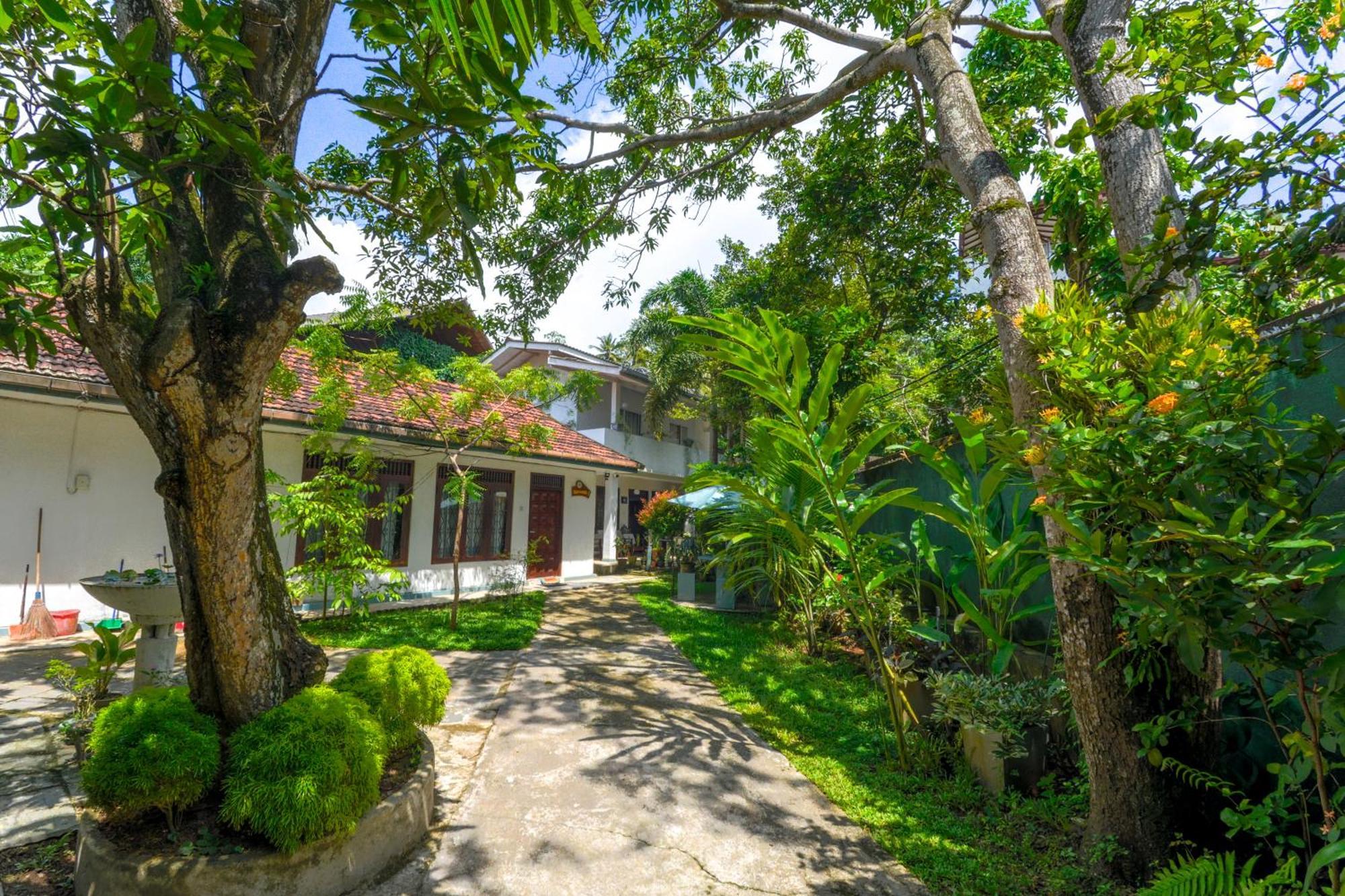 Palm Garden Guest House Galle Extérieur photo